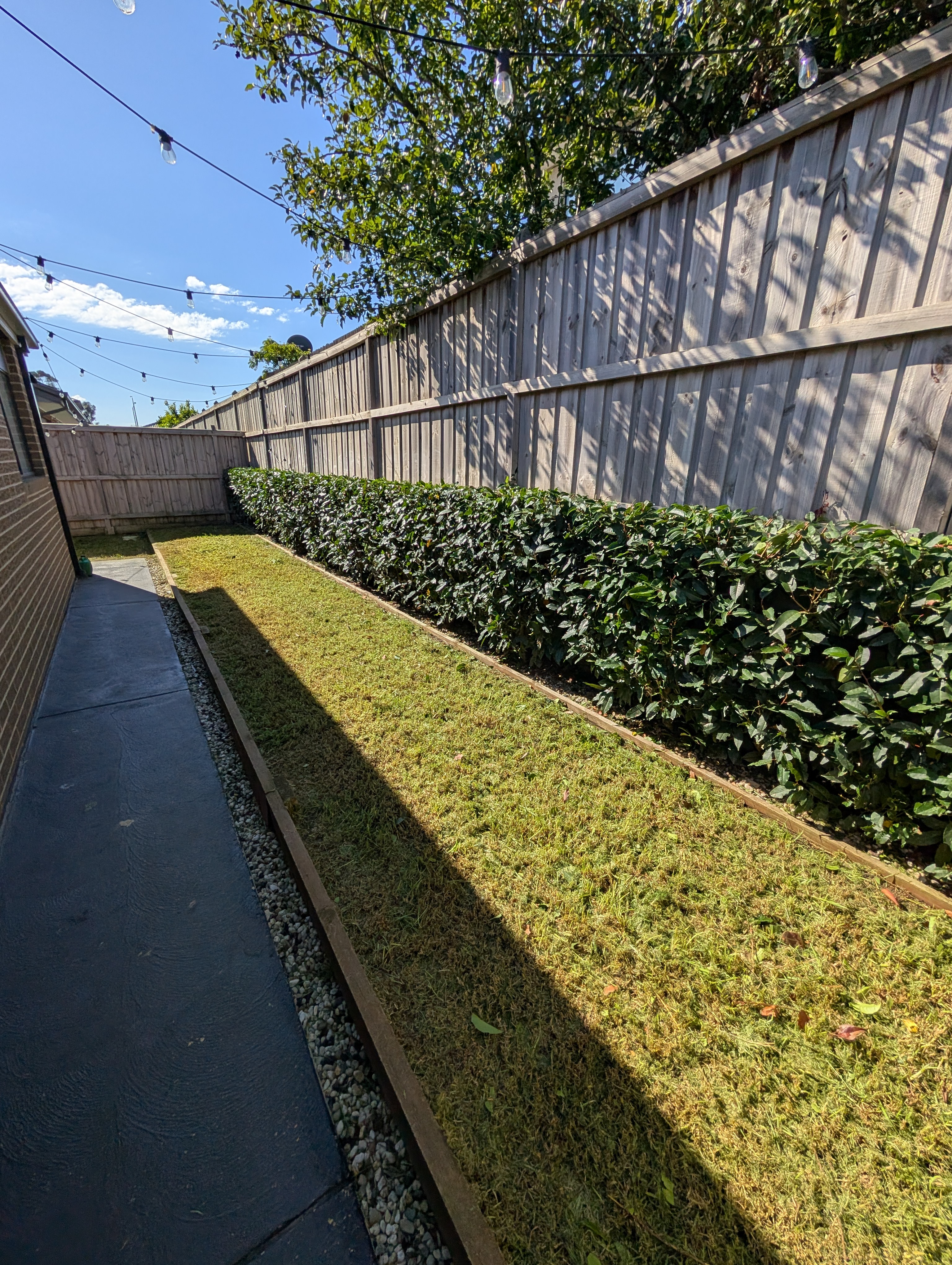 Maintained side garden with trimmed hedge and lawn